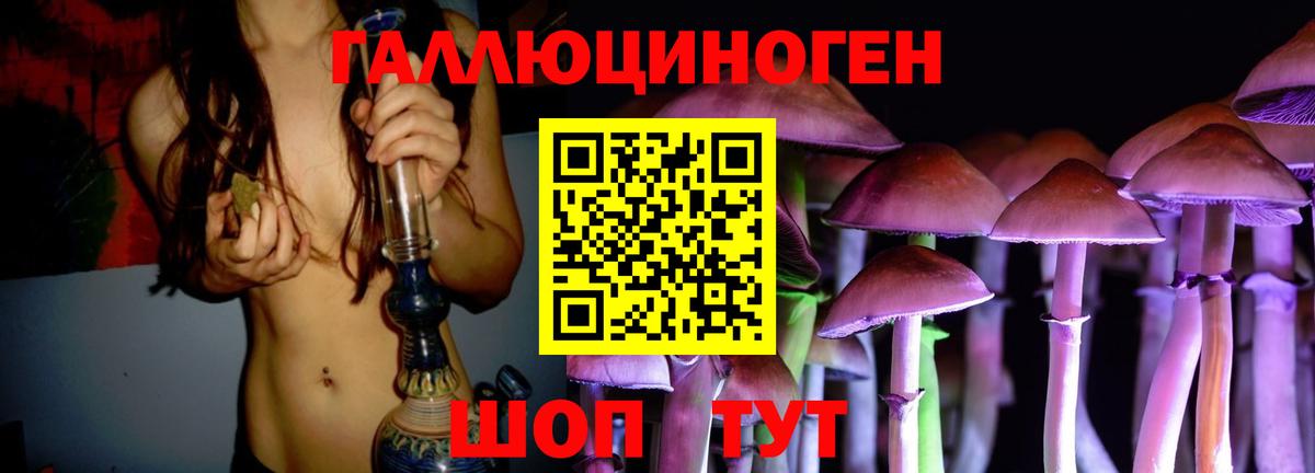 Псилоцибиновые грибы Psilocybe Фролово