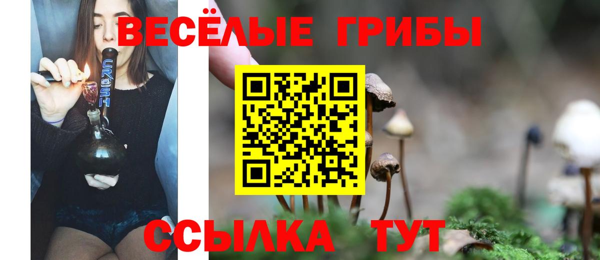 Галлюциногенные грибы GOLDEN TEACHER  Вход с VPN  Галлюциногенные грибы ЛСД  Фролово 